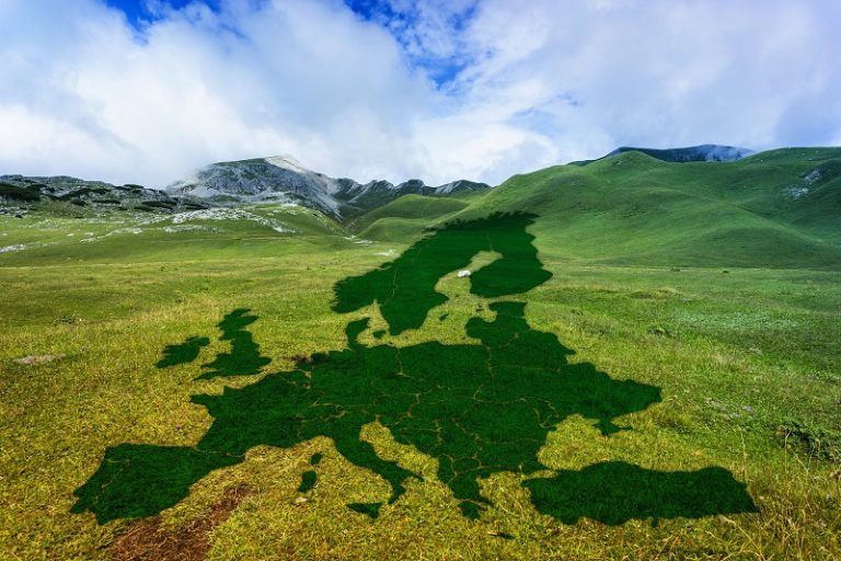 Parlamentet støtter den europæiske grønne aftale men vil have højere ambitioner