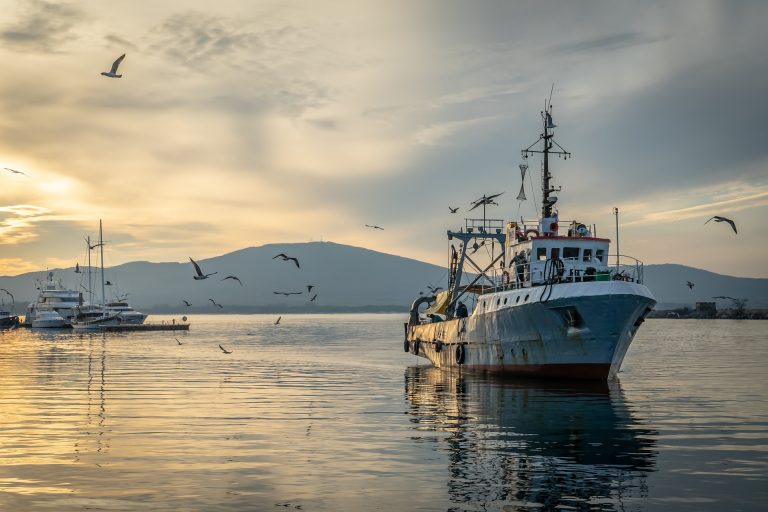 Covid-19: Nødtiltag skal hjælpe EU’s landmænd og fiskere