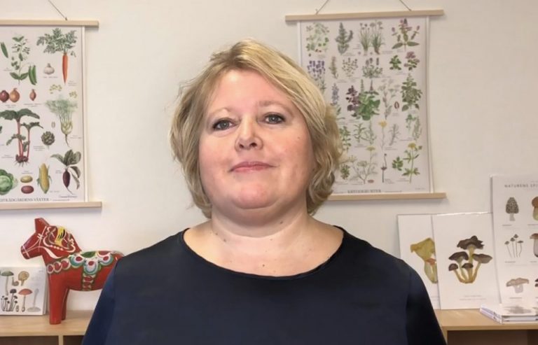 Danske Torpare er urolige for at danskejede fritidshuse i Sverige kommer till skade når ejere ikke må komme ind i Sverige