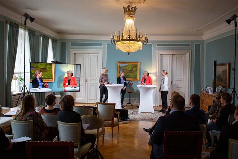 Grænsehindringsmøde: Virksomheder peger på problemer med usikkerhed og med e-autorisation mellem Danmark og Sverige
