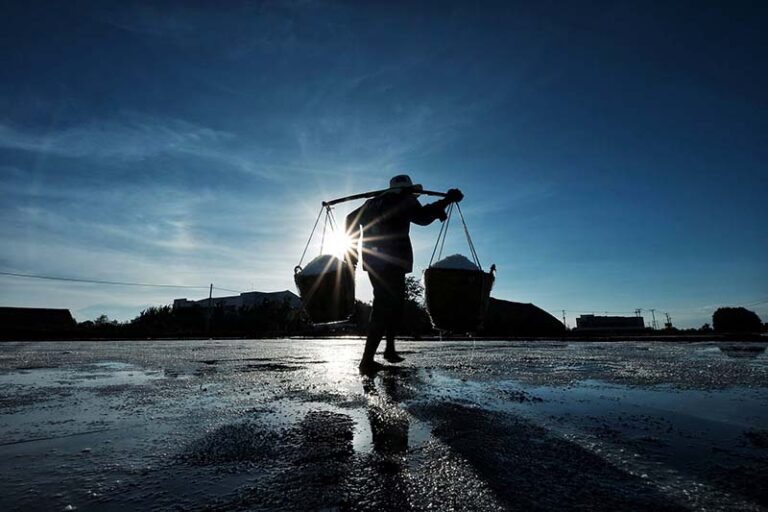 Nye regler for bæredygtighedsrapportering skal holde virksomheder ansvarlige, siger Parlamentet