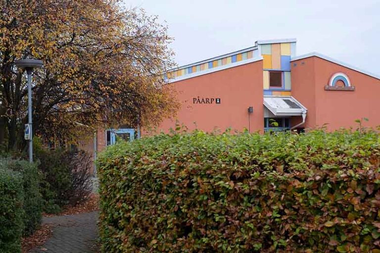 Danske elever klarede sig bedre end de svenske i den seneste Pisa-undersøgelse – men resultaterne faldt i begge lande