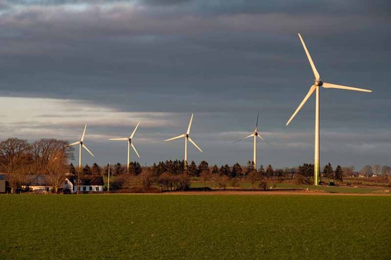 Antallet af vindmøller i Sverige er steget med næsten 900 pct. på 20 år