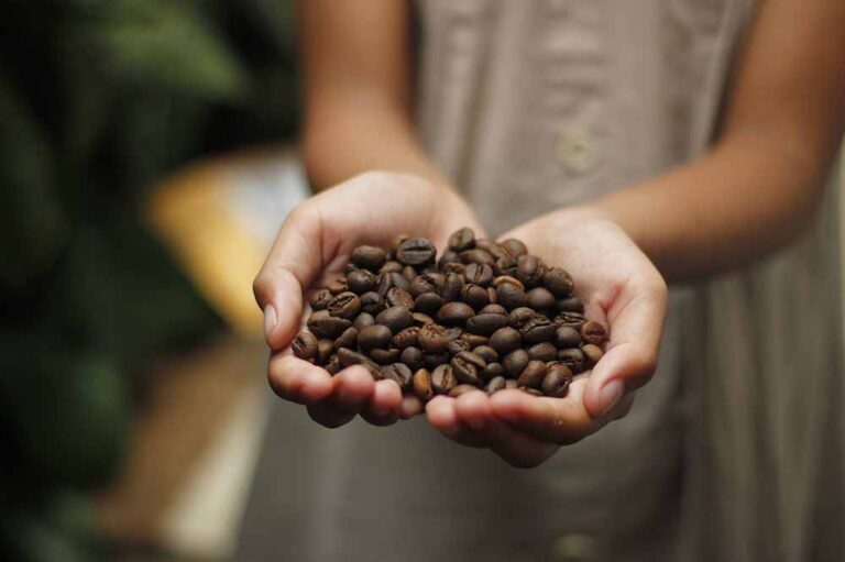 Effekterne af EU’s nye regler for kaffe: Et skridt mod en bæredygtig fremtid?